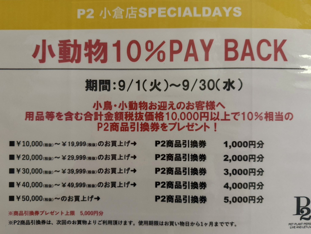 P2小倉店🐰9月の小鳥・小動物フェア